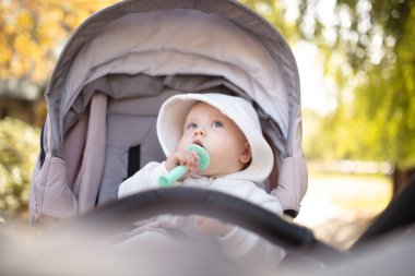 Kapüşonlu, dişlek, dışarıda bebek arabasında oturan tatlı bir bebek.
