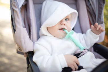 Kapüşonlu, dişlek, dışarıda bebek arabasında oturan tatlı bir bebek.