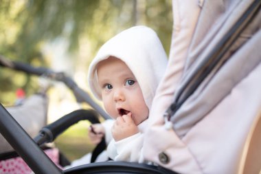 Kapüşonlu küçük şirin bebek dışarıda bebek arabasında oturuyor.