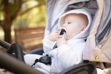 Kapüşonlu küçük şirin bir bebek, bebek arabasının içinde oturmuş ip çiğniyor.