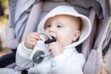 Kapüşonlu küçük şirin bir bebek, bebek arabasının içinde oturmuş ip çiğniyor.