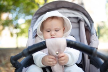 Küçük şirin bebek dışarıda bebek arabasında oturuyor.