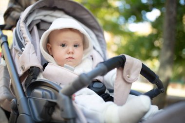 Küçük şirin bebek dışarıda bebek arabasında oturuyor.