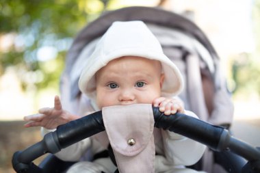 Küçük şirin bebek dışarıda bebek arabasında oturuyor.