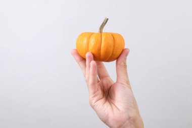 Gri arkaplanda minyatür balkabağı tutan kadın el.