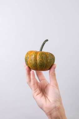 Gri arkaplanda minyatür balkabağı tutan kadın el.