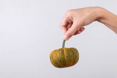 Gri arkaplanda minyatür balkabağı tutan kadın el.