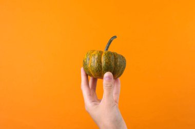 Turuncu arka planda minyatür balkabağı tutan kadın.