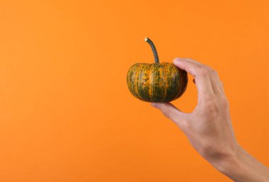 Turuncu arka planda minyatür balkabağı tutan kadın.