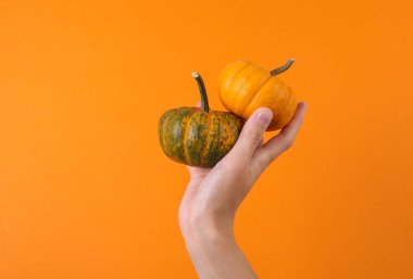 Turuncu arka planda minyatür balkabağı tutan kadın.