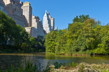 New York sayısı