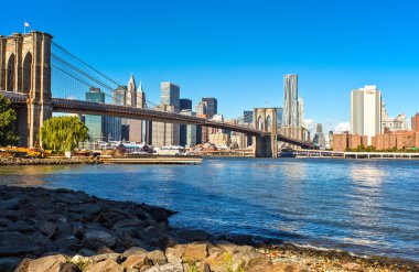 New York sayısı