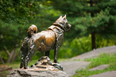 New York manzarası ve insanlar