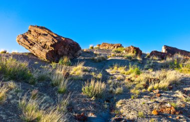 Güney Batı parklar