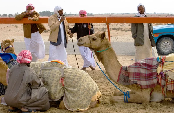 Qatar o velho e o novo — Fotografia de Stock