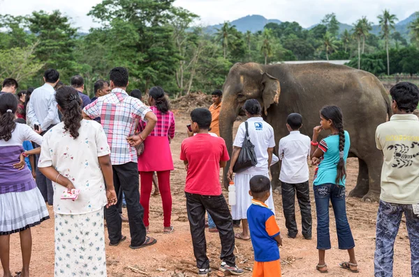 Lugares de Sri Lanka — Foto de Stock