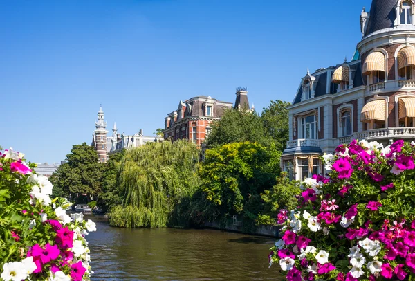 Amsterdam a okolí — Stock fotografie