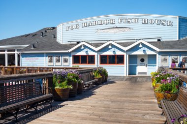 San Francisco manzaraları