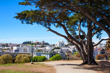 San Francisco manzaraları