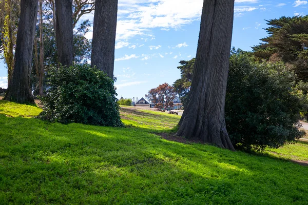 San Francisco manzaraları — Stok fotoğraf