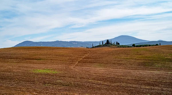Italy Tuscany Rural Landscapes Val Orcia — Stock Photo, Image