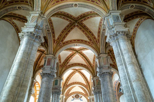 Pienza イタリア 2019年9月19日 デルアスンタ大聖堂の身廊天井の上からの眺め — ストック写真