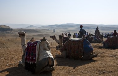 Giza piramit alanının