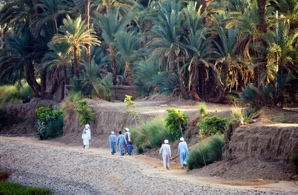 Egypten lokala liv — Stockfoto