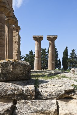 Libya Cyrene sitesi