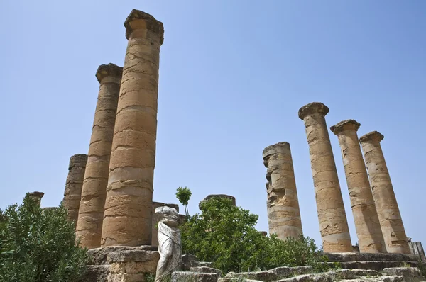Libya Cyrene sitesi — Stok fotoğraf