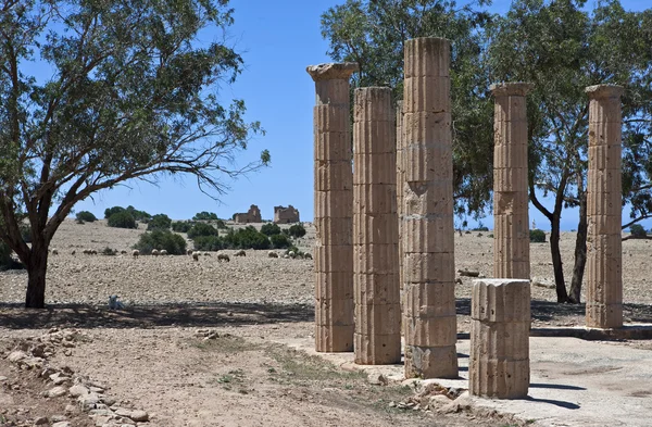 Λιβύη Tolemaide site — Φωτογραφία Αρχείου