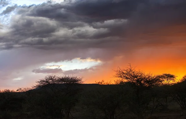 Namibia la Natura — Foto Stock