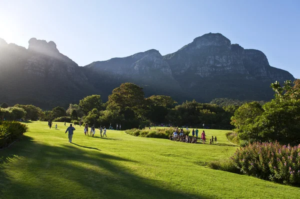 Cape Town manzaralar — Stok fotoğraf