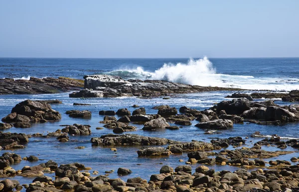 Ciudad del Cabo la naturaleza —  Fotos de Stock