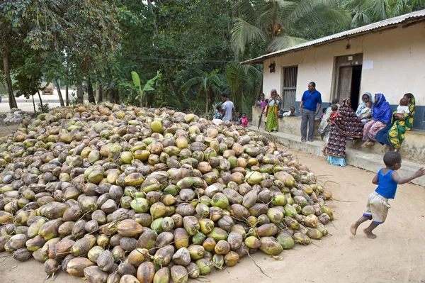 Wyspa Zanziba Tanzanii — Zdjęcie stockowe