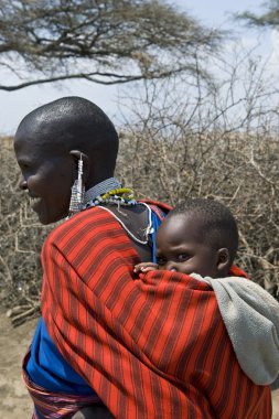 Tanzanya Ngorongoro alan