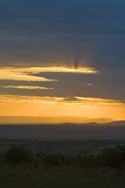 Parcs nationaux de Tanzanie — Photo