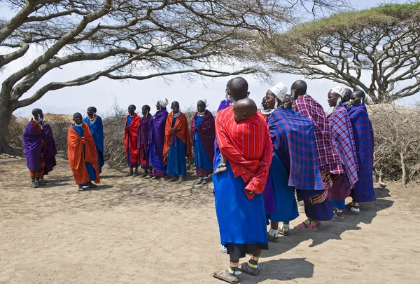 Tanzânia Área de Ngorongoro — Fotografia de Stock