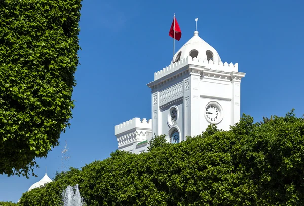 튀니지 정부 광장 — 스톡 사진
