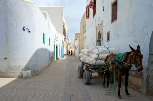 Tunisien Kariouan village — Stockfoto