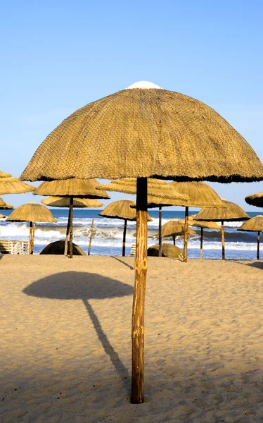 Tunisia Hammamet beach — Stock Photo, Image