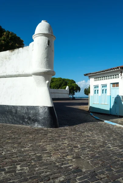 Brasil tierra de colores — Foto de Stock