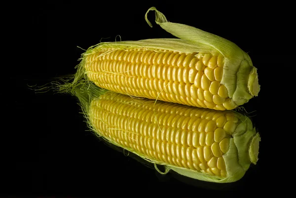 Mogen frukt av majs — Stockfoto