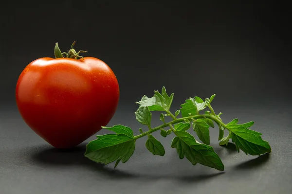 Tomate mûre sur fond sombre — Photo