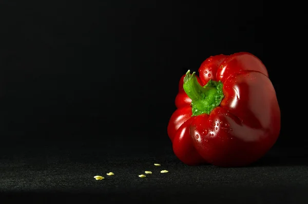 Pimienta roja madura y jugosa — Foto de Stock