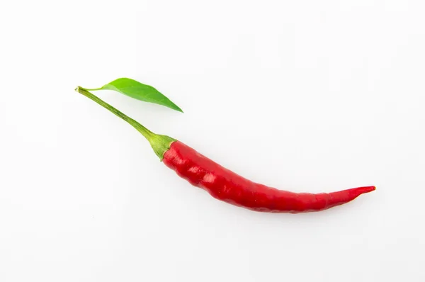 Petite röd chili — Stockfoto