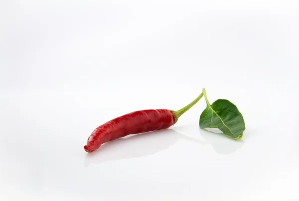 Petite röd chili — Stockfoto