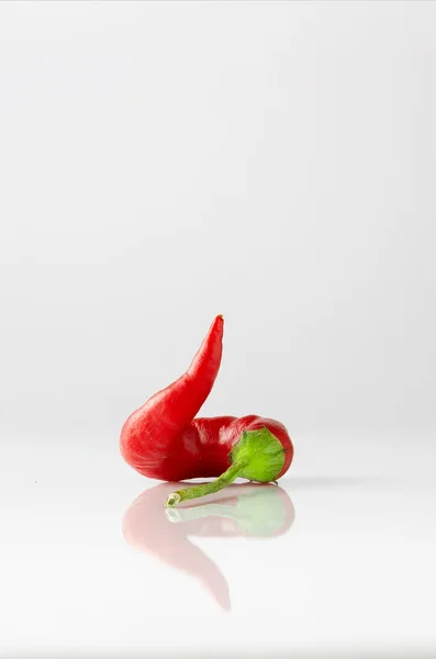Brinnande röd chilipeppar — Stockfoto