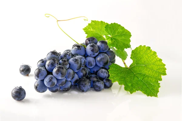 Sappig, rijp en heerlijke druiven — Stockfoto