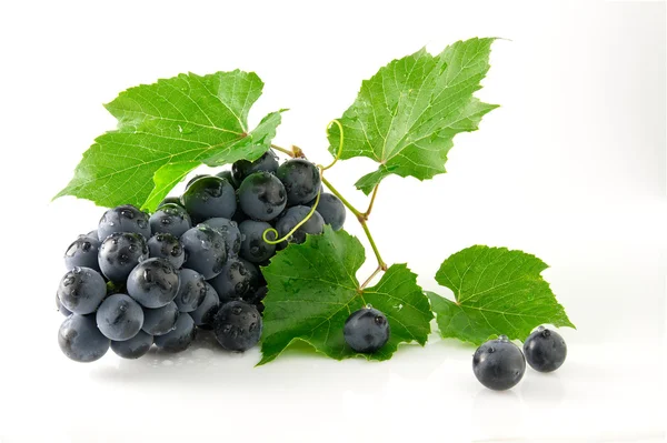 Sappig, rijp en heerlijke druiven — Stockfoto